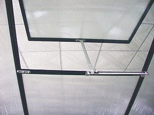 코팅되지 않은 프레임 마무리 6ft X 8ft 야외 정원을위한 큰 정원 온실